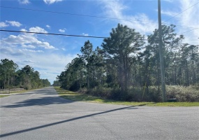 QUINELLA, ORLANDO, Florida 32833, ,Land,For Sale,QUINELLA,S5063572