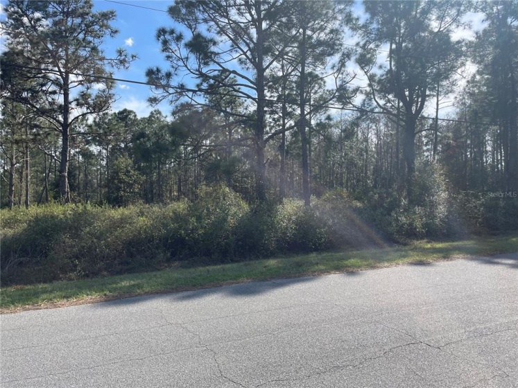 QUINELLA, ORLANDO, Florida 32833, ,Land,For Sale,QUINELLA,S5063572