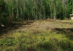 TBD 12TH PLACE, OCALA, Florida 34481, ,Land,For Sale,12TH,OM635305