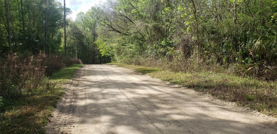 TBD 12TH PLACE, OCALA, Florida 34481, ,Land,For Sale,12TH,OM635305