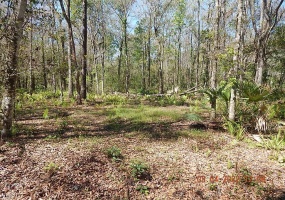 1026 BUIST STREET, ORLANDO, Florida 32828, ,Land,For Sale,BUIST,O6008331