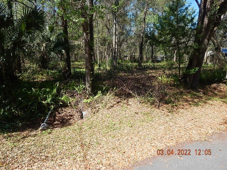 1026 BUIST STREET, ORLANDO, Florida 32828, ,Land,For Sale,BUIST,O6008331