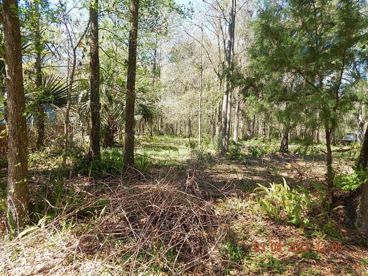 1026 BUIST STREET, ORLANDO, Florida 32828, ,Land,For Sale,BUIST,O6008331