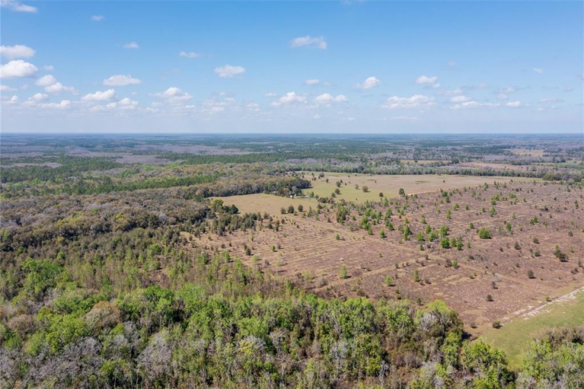 11307 CARTER ISLAND ROAD, GROVELAND, Florida 34736, ,Land,For Sale,CARTER ISLAND,O6008381
