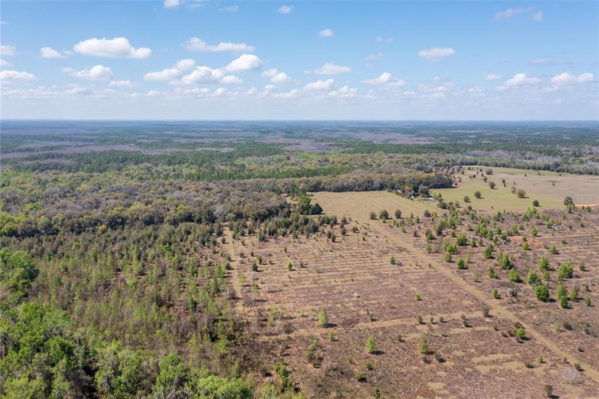 11307 CARTER ISLAND ROAD, GROVELAND, Florida 34736, ,Land,For Sale,CARTER ISLAND,O6008381