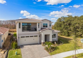 13217 BROMBOROUGH DRIVE, ORLANDO, Florida 32832, 5 Bedrooms Bedrooms, ,5 BathroomsBathrooms,Residential,For Sale,BROMBOROUGH,O6002919