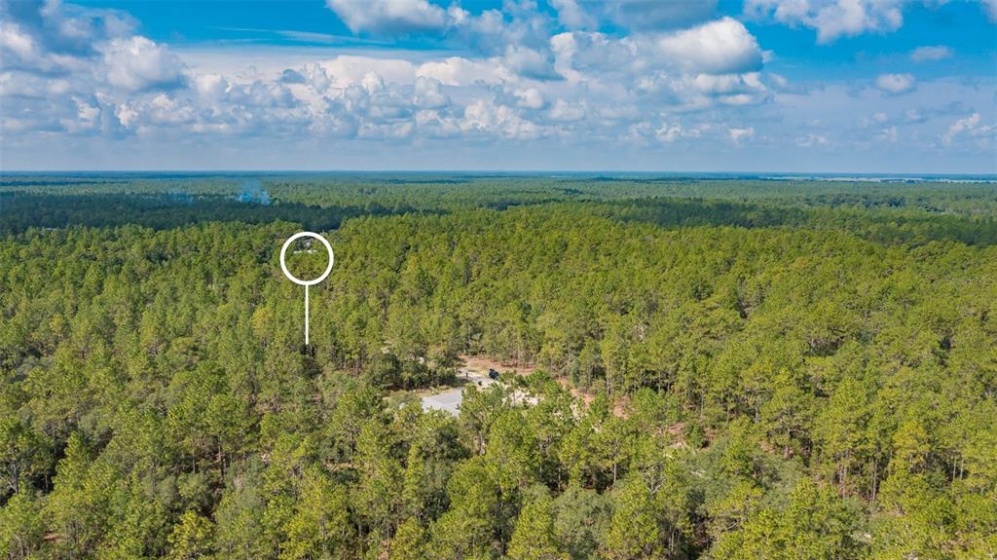 TBD SW 123RD AVE ROAD, OCALA, Florida 34481, ,Land,For Sale,SW 123RD AVE ROAD,O6008197