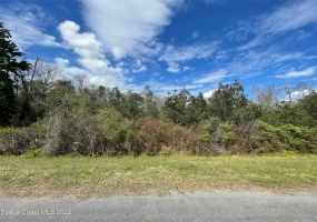 ORLANDO, Florida 32833, ,Land,For Sale,O6008521
