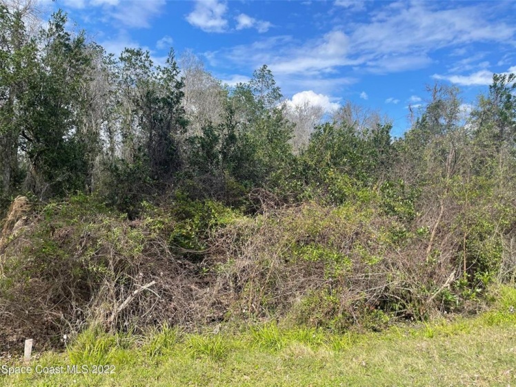 ORLANDO, Florida 32833, ,Land,For Sale,O6008521