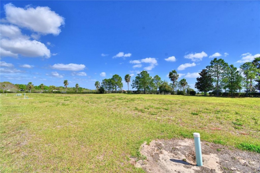 831 WATERFERN TRAIL DRIVE, AUBURNDALE, Florida 33823, ,Land,For Sale,WATERFERN TRAIL,P4919760