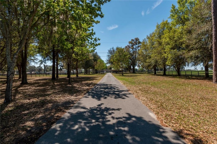 2951 66TH STREET, OCALA, Florida 34476, 4 Bedrooms Bedrooms, ,3 BathroomsBathrooms,Residential,For Sale,66TH,OM635350
