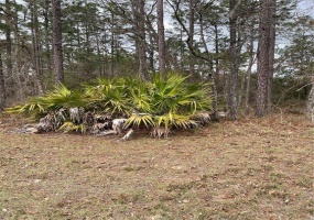 TBD 143 STREET, OCALA, Florida 34473, ,Land,For Sale,143,OM635401