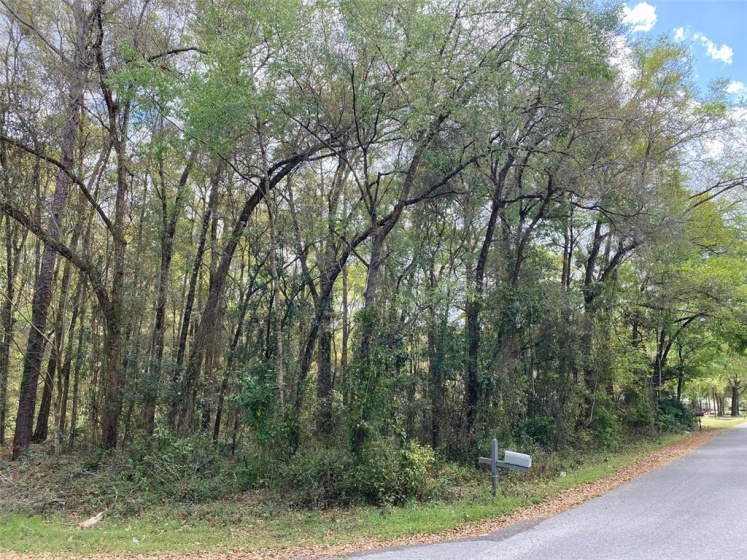 6042 65TH STREET, OCALA, Florida 34482, ,Land,For Sale,65TH,OM635458