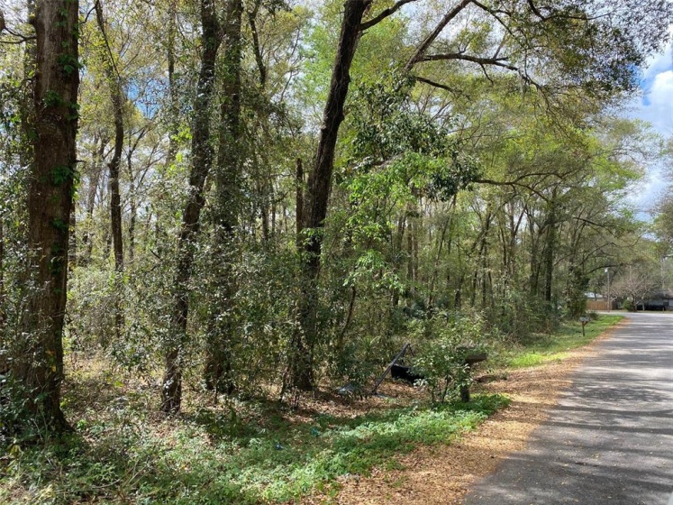 6042 65TH STREET, OCALA, Florida 34482, ,Land,For Sale,65TH,OM635458