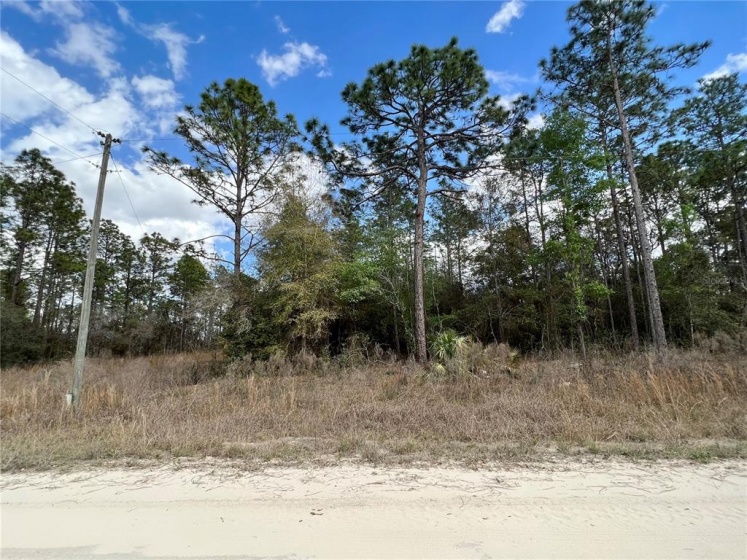 Lot 1 73 STREET, OCALA, Florida 34481, ,Land,For Sale,73,OM635451
