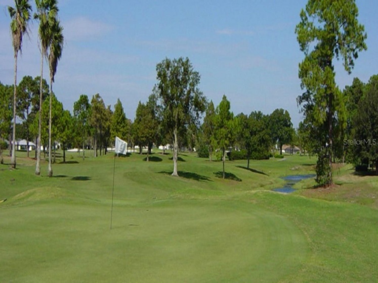PALMVIEW STREET, ORLANDO, Florida 32833, ,Land,For Sale,PALMVIEW,O5884517