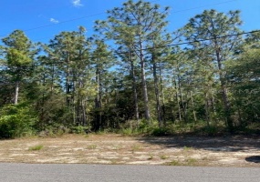 0 SW 131st RD 131 ROAD, OCALA, Florida 34473, ,Land,For Sale,131,T3317968