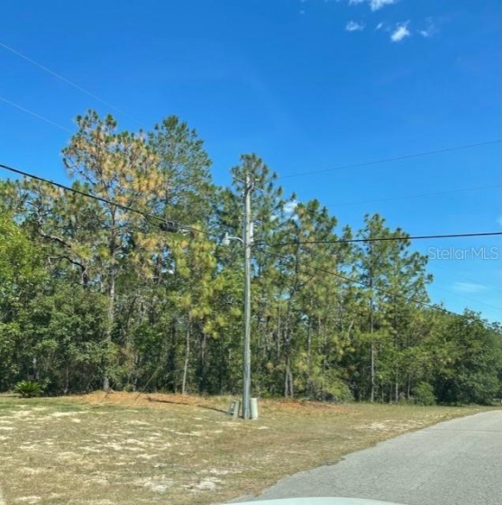 0 SW 131st RD 131 ROAD, OCALA, Florida 34473, ,Land,For Sale,131,T3317968
