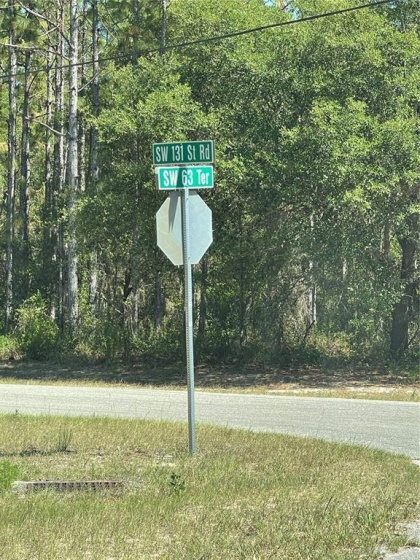 0 SW 131st RD 131 ROAD, OCALA, Florida 34473, ,Land,For Sale,131,T3317968