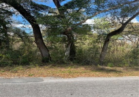 6575 61ST COURT, OCALA, Florida 34482, ,Land,For Sale,61ST,OM634924