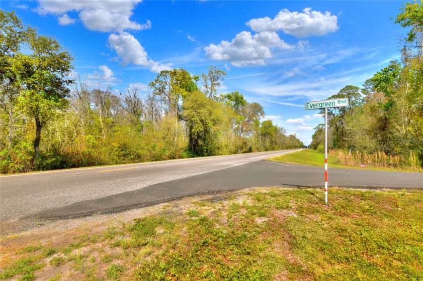 VAN FLEET TRAIL, POLK CITY, Florida 33868, ,Land,For Sale,VAN FLEET,T3358855