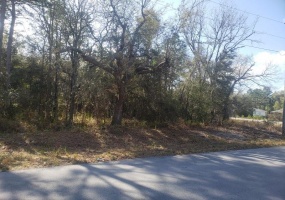 00(TBD) HEMLOCK LOOP, OCALA, Florida 34472, ,Land,For Sale,HEMLOCK,OM635447