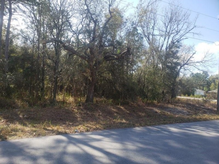 00(TBD) HEMLOCK LOOP, OCALA, Florida 34472, ,Land,For Sale,HEMLOCK,OM635447