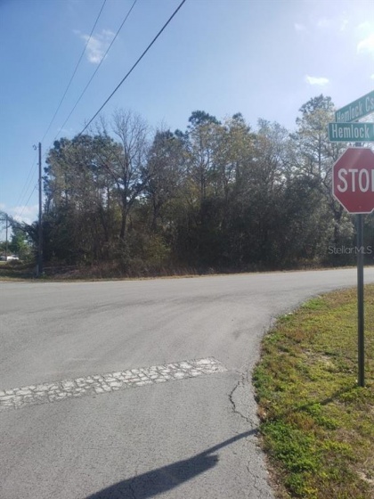00(TBD) HEMLOCK LOOP, OCALA, Florida 34472, ,Land,For Sale,HEMLOCK,OM635447