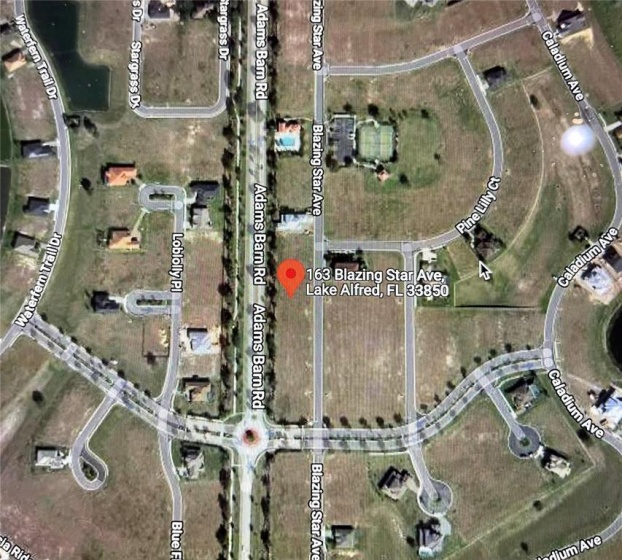 163 BLAZING STAR AVENUE, LAKE ALFRED, Florida 33850, ,Land,For Sale,BLAZING STAR,O6009332