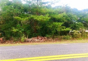 TBD 45TH AVENUE, OCALA, Florida 34476, ,Land,For Sale,45TH,OM635505