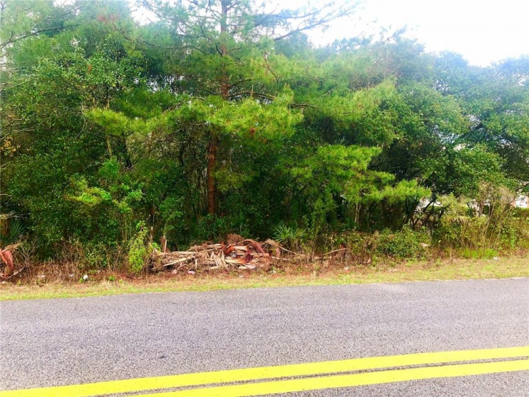 TBD 45TH AVENUE, OCALA, Florida 34476, ,Land,For Sale,45TH,OM635505
