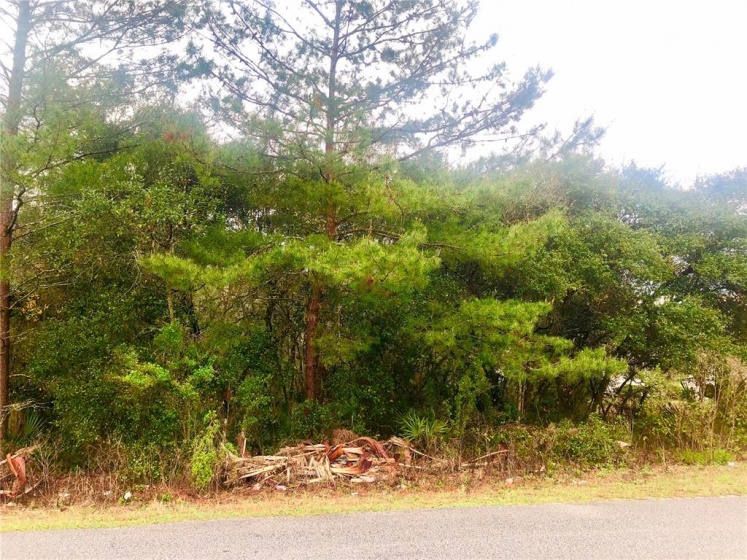 TBD 45TH AVENUE, OCALA, Florida 34476, ,Land,For Sale,45TH,OM635505