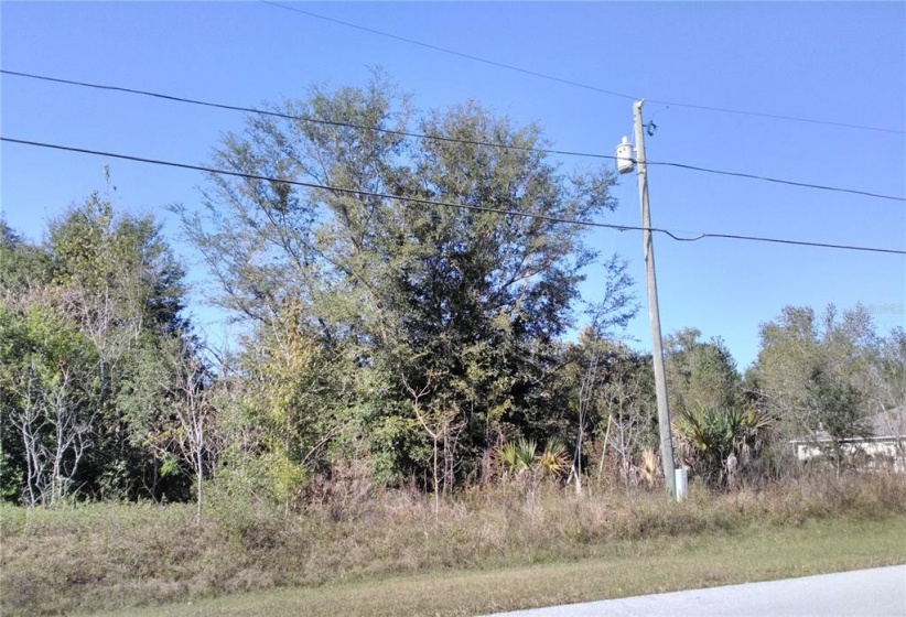 137 PINE COURSE, OCALA, Florida 34472, ,Land,For Sale,PINE,O6009450