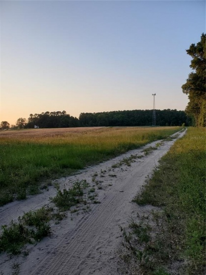 4949 100TH STREET, OCALA, Florida 34482, ,Land,For Sale,100TH,OM622165