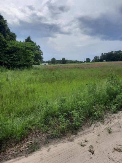 4949 100TH STREET, OCALA, Florida 34482, ,Land,For Sale,100TH,OM622165