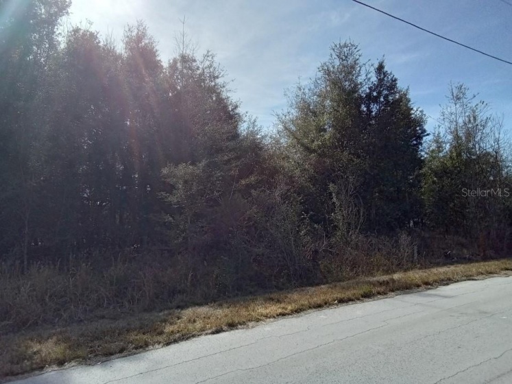 43 WATER TRACK LOOP, OCALA, Florida 34472, ,Land,For Sale,WATER TRACK LOOP,O6009445