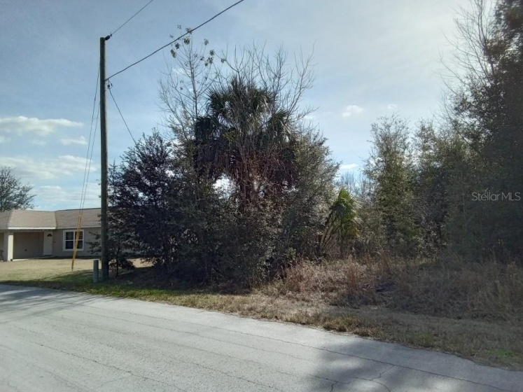 43 WATER TRACK LOOP, OCALA, Florida 34472, ,Land,For Sale,WATER TRACK LOOP,O6009445