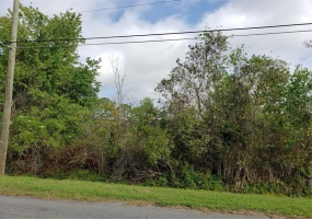 0 0 STARRY STREET, ORLANDO, Florida 32833, ,Land,For Sale,0 STARRY,O6009526