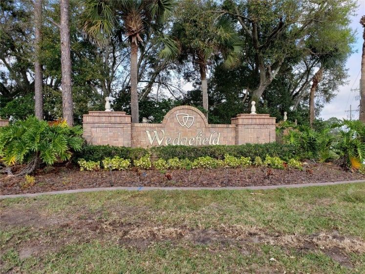 0 0 STARRY STREET, ORLANDO, Florida 32833, ,Land,For Sale,0 STARRY,O6009526