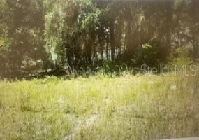 TBD 67 TERRACE, OCALA, Florida 34480, ,Land,For Sale,67,OM635595