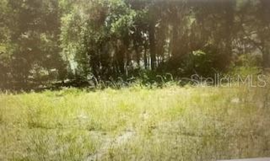 TBD 67 TERRACE, OCALA, Florida 34480, ,Land,For Sale,67,OM635595