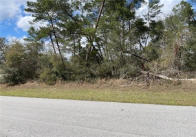 35TH CIRCLE, OCALA, Florida 34473, ,Land,For Sale,35TH CIRCLE,OM635641