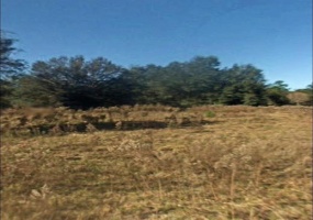 Lot 2 and 3 151ST COURT, OCALA, Florida 34481, ,Land,For Sale,151ST,OM635655