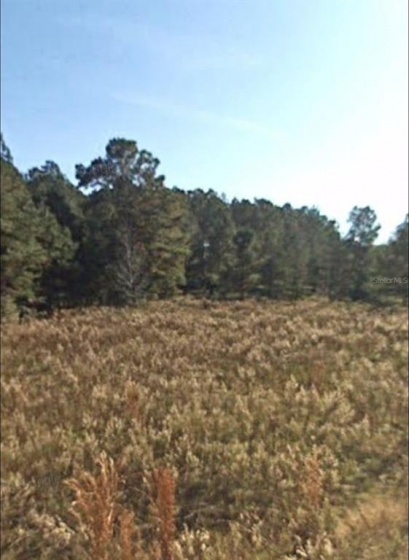 Lot 2 and 3 151ST COURT, OCALA, Florida 34481, ,Land,For Sale,151ST,OM635655
