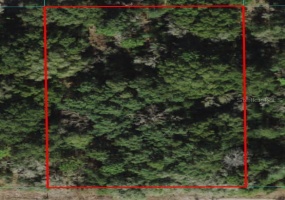 OCALA, Florida 34481, ,Land,For Sale,OM635699