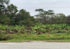 2131 BRIGHTON LANE, ORLANDO, Florida 32817, ,Land,For Sale,BRIGHTON,O5992804