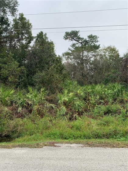 2131 BRIGHTON LANE, ORLANDO, Florida 32817, ,Land,For Sale,BRIGHTON,O5992804