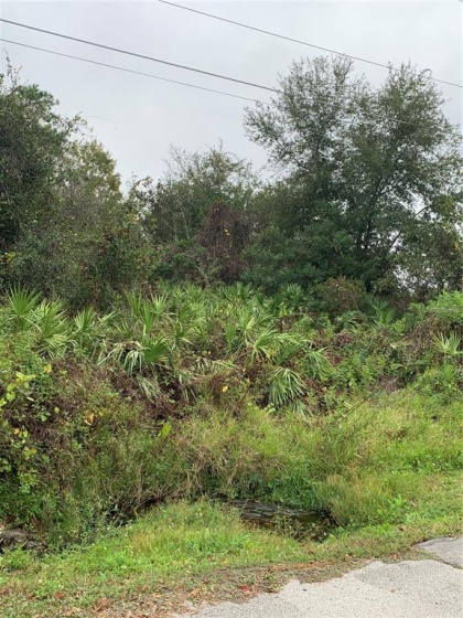 2131 BRIGHTON LANE, ORLANDO, Florida 32817, ,Land,For Sale,BRIGHTON,O5992804