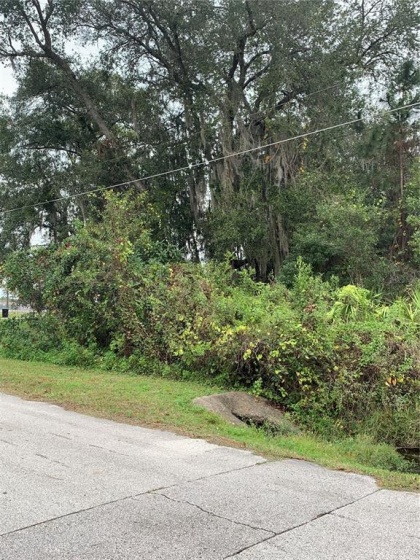 2131 BRIGHTON LANE, ORLANDO, Florida 32817, ,Land,For Sale,BRIGHTON,O5992804