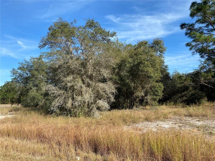 423 VERNON COURT, POINCIANA, Florida 34759, ,Land,For Sale,VERNON,P4918829